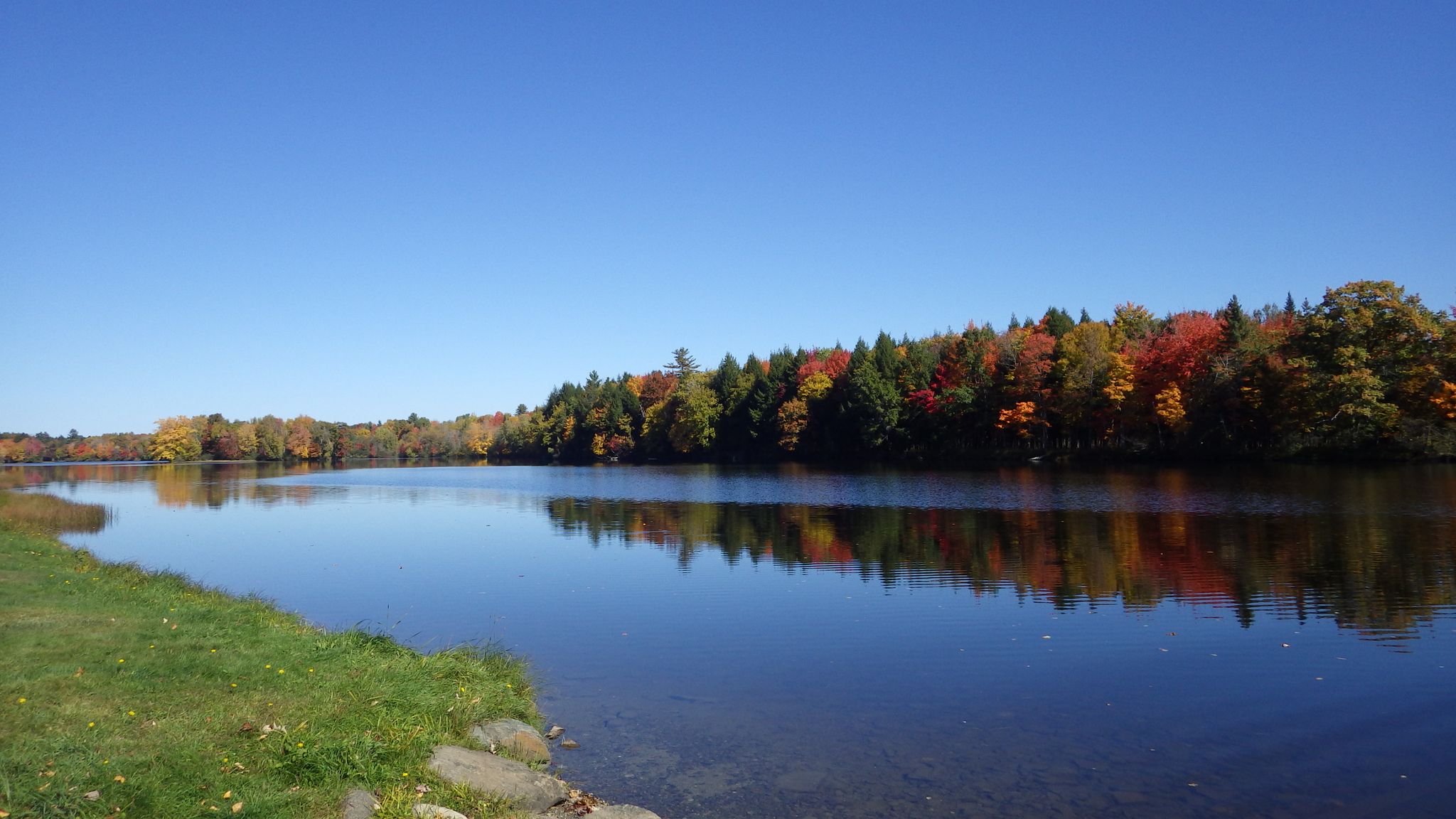 Calm lake reflects vibrant autumn trees under a clear blue sky. - Lincoln to Millinocket via East Coast Greenway