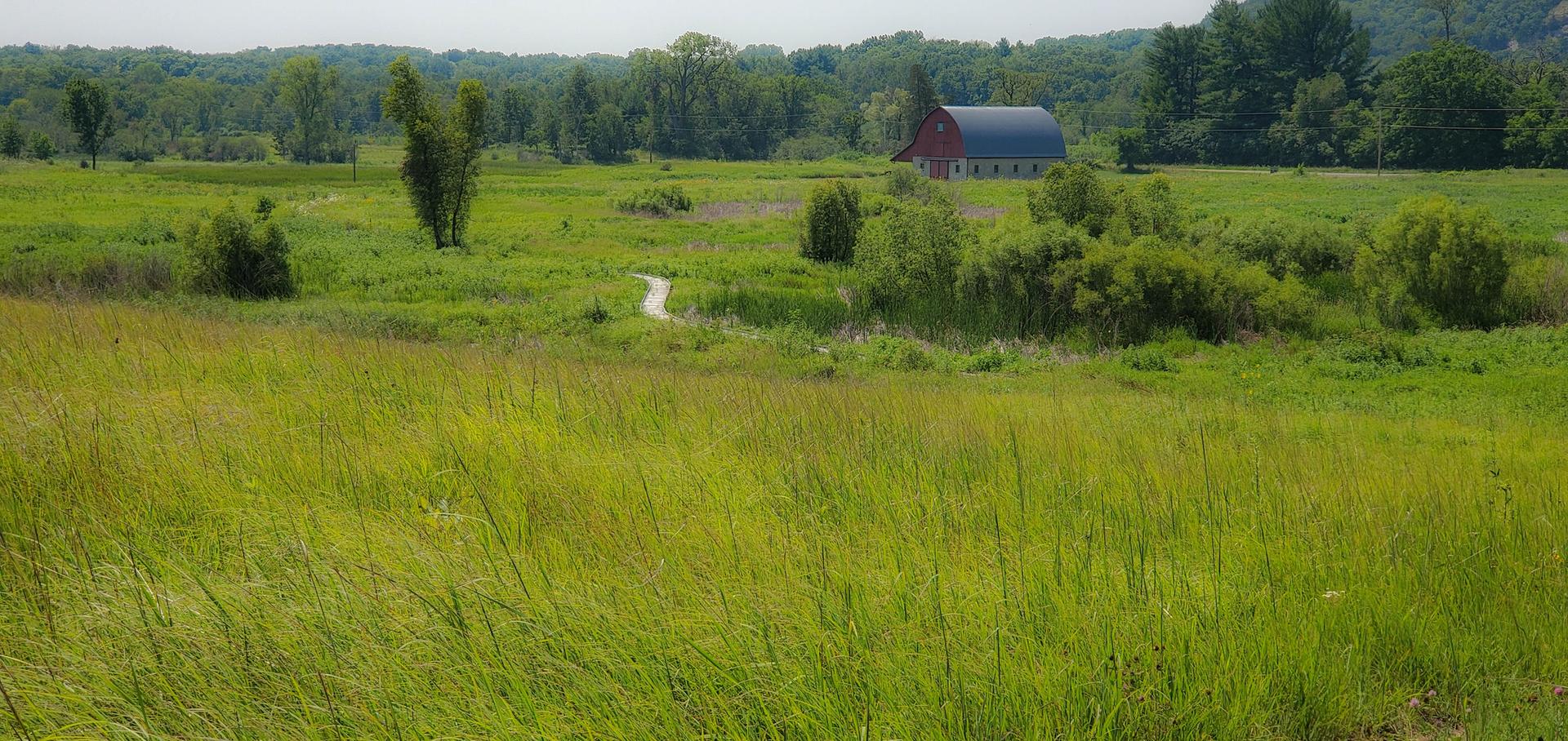 Expansive green field with a distant red barn and winding path.