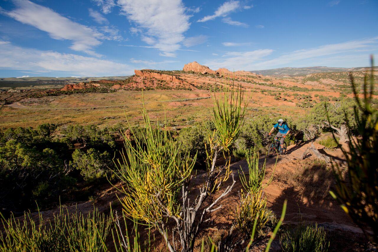 Mountain biker on a sunny desert trail with red rock formations.