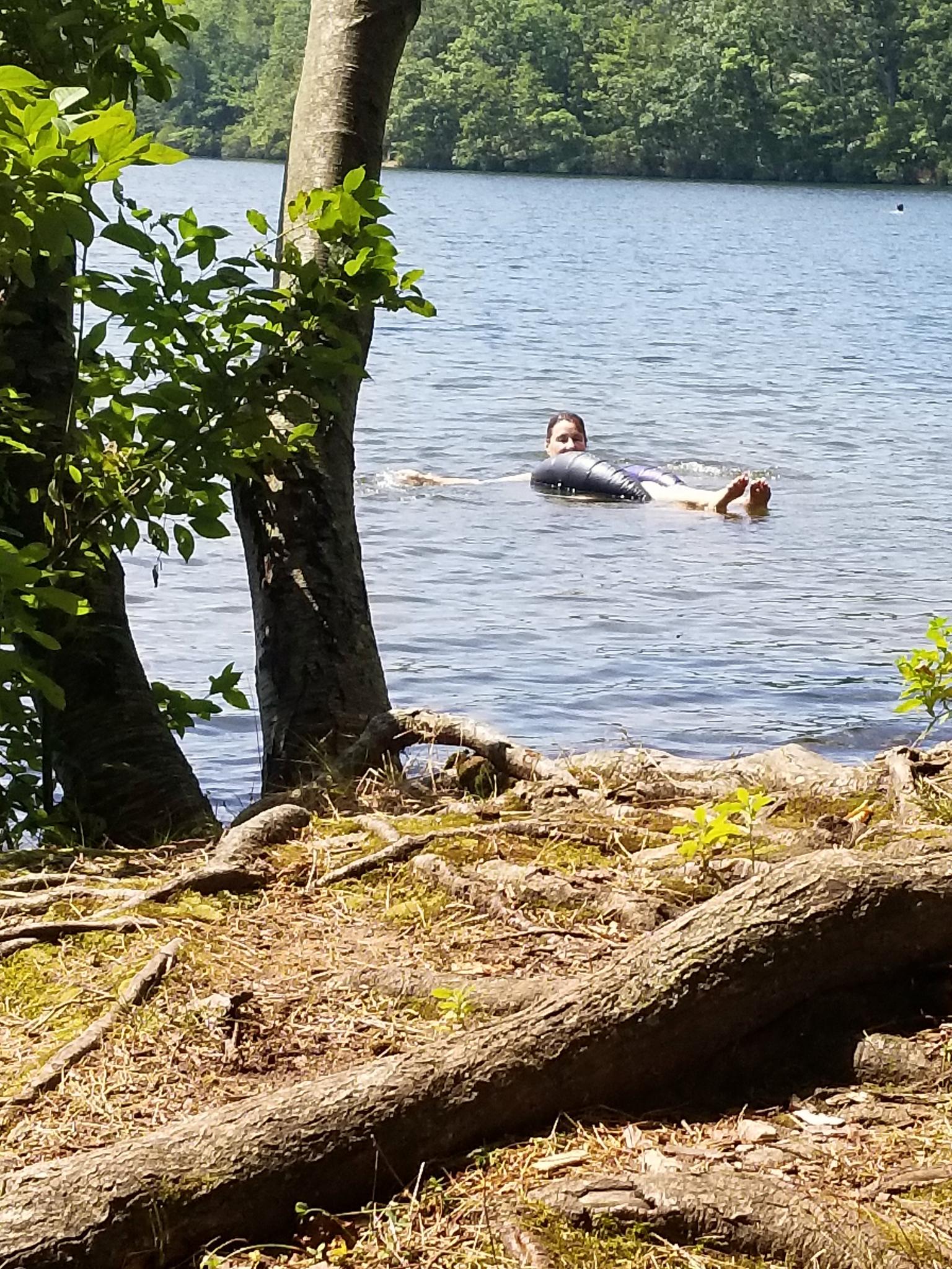 Person floats on an inner tube in a sunny lake, seen through trees.