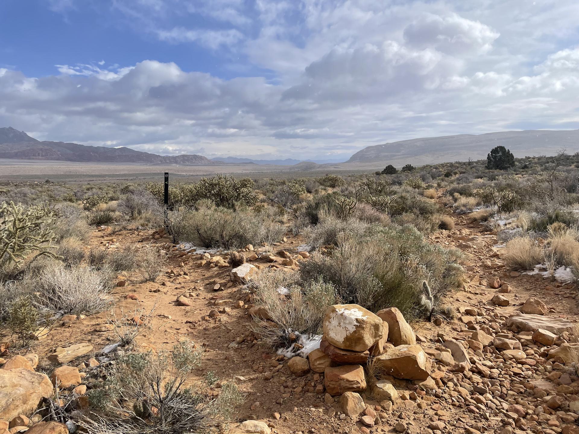 Wide desert landscape with rocky path, sparse bushes, distant mountains under cloudy sky.