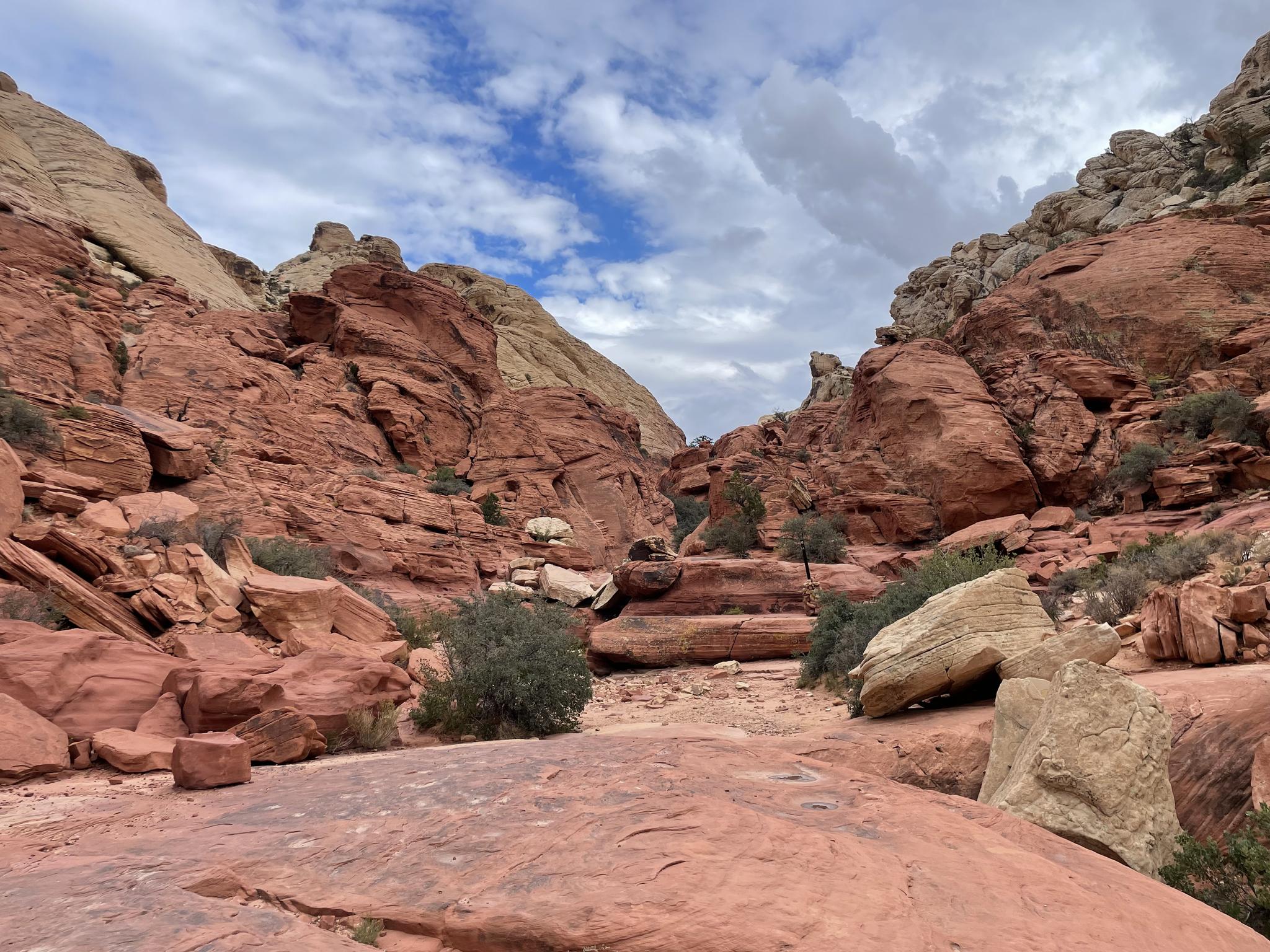 A wide canyon with red and white rock formations under a cloudy sky.