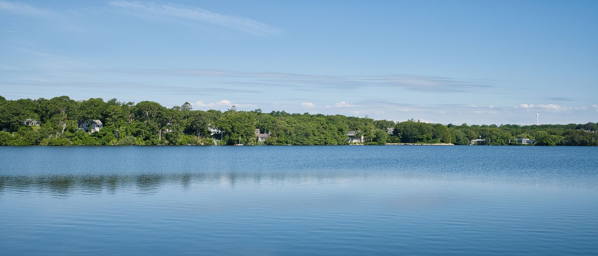 Calm blue lake reflects a clear sky, bordered by a green forested shore. - Trunk River Beach – Salt Pond Areas Bird Sanctuary loop from Woods Hole