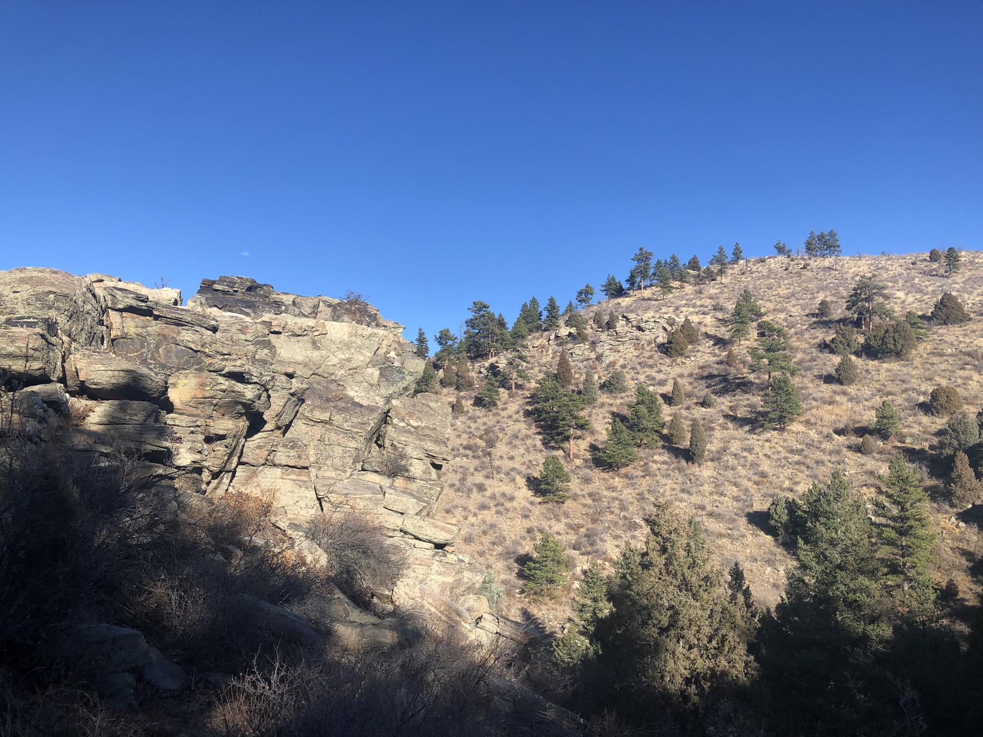 Sunlit rocky hillside with sparse trees and shrubs under a bright clear blue sky.