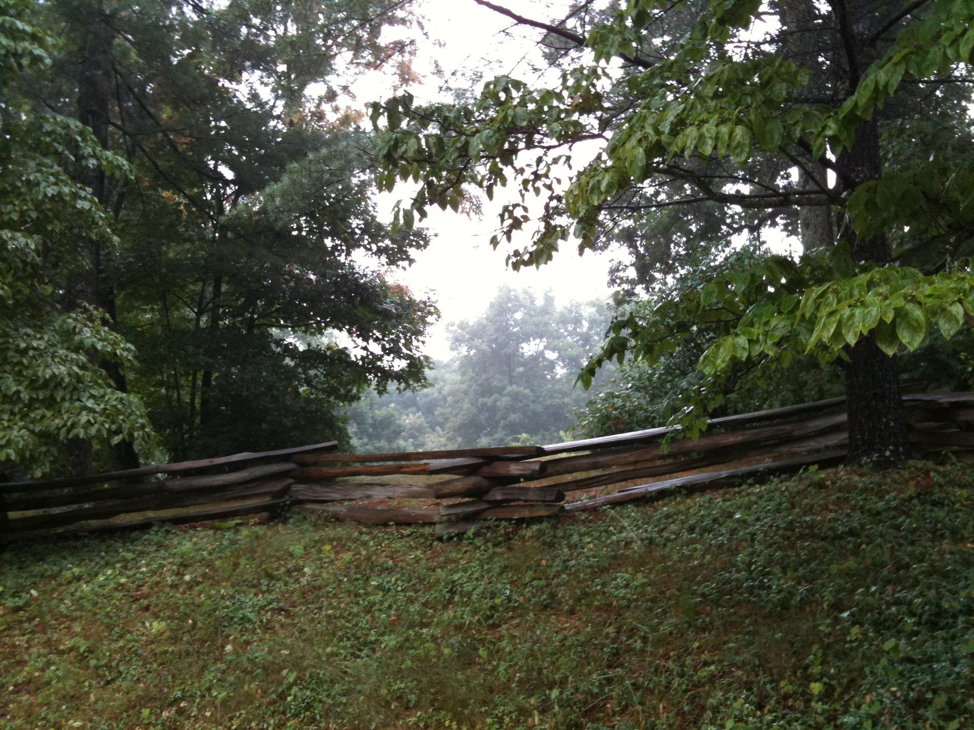 A rustic wooden split-rail fence in a lush, misty forest.