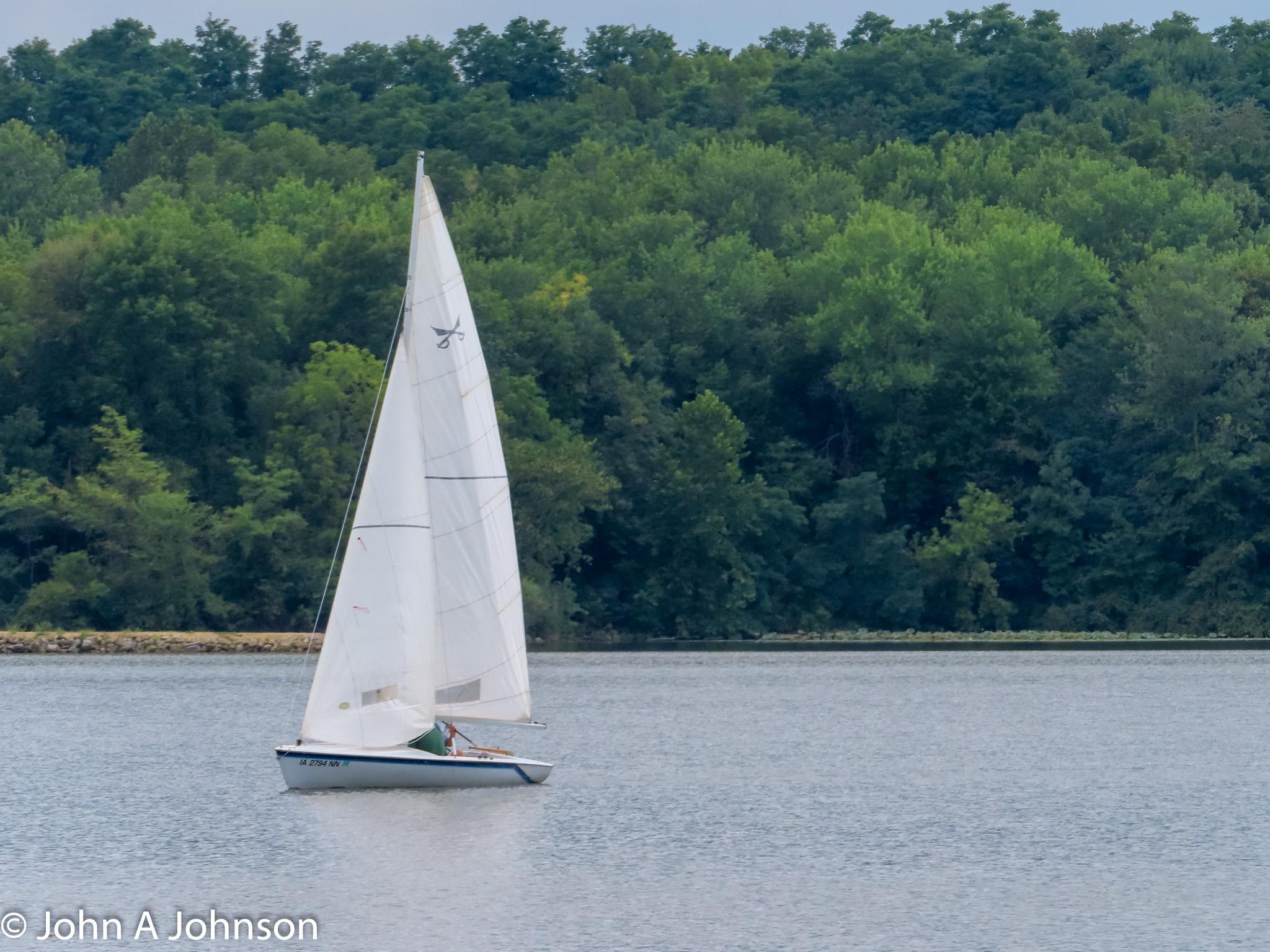 A white sailboat with a person on calm water, green forest background.