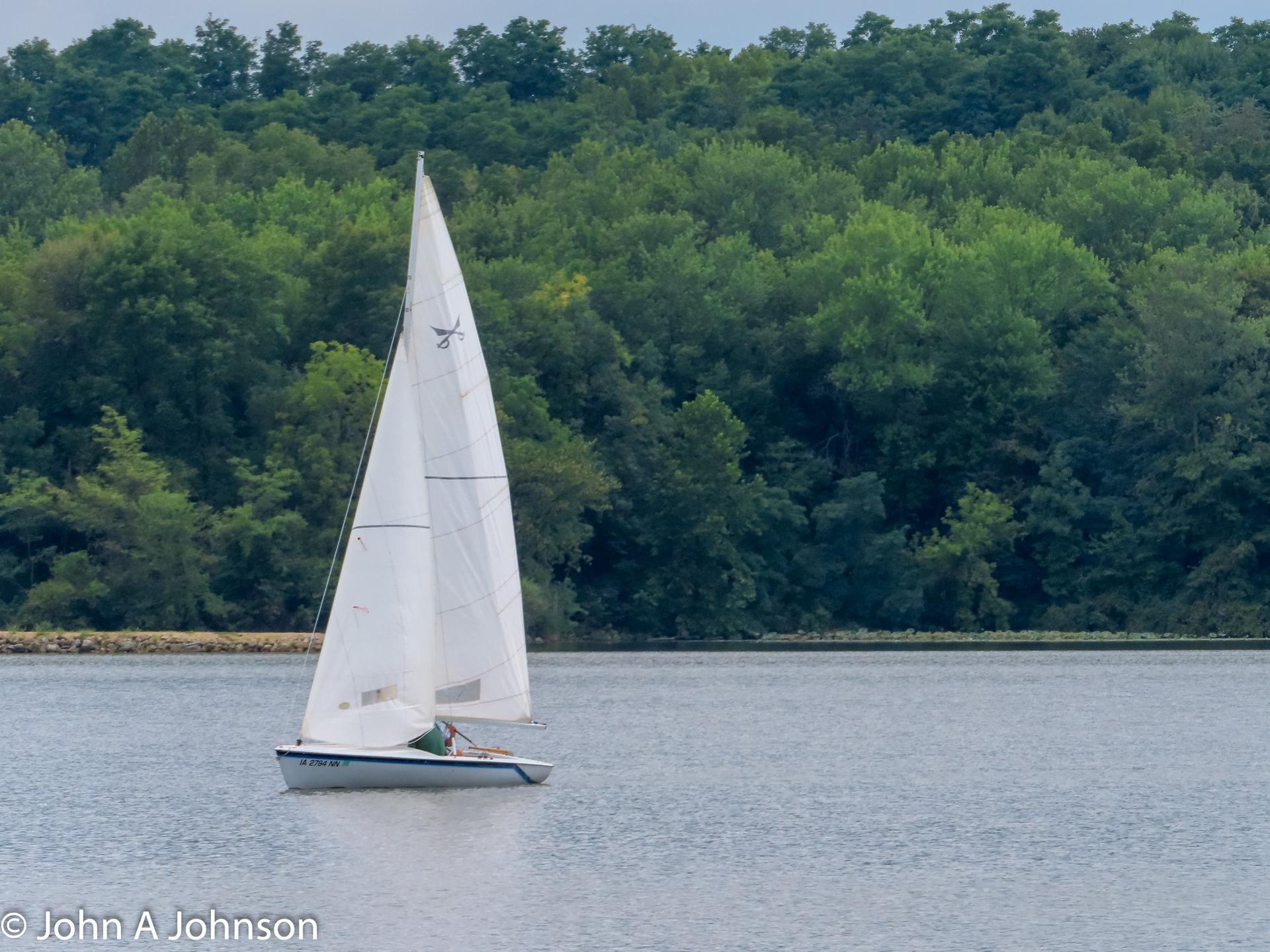 A white sailboat with a person on calm water, green forest background.