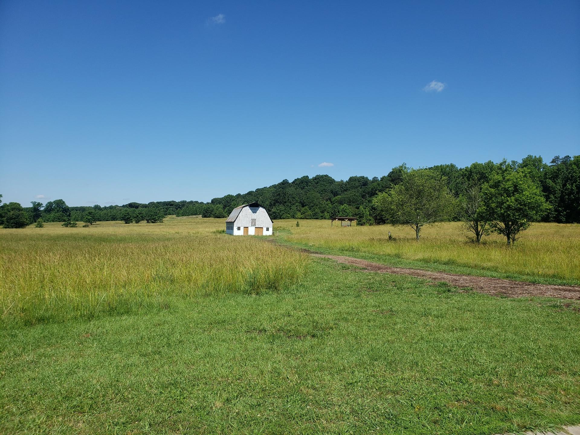 Sunny field with a white barn, dirt path, and horses under blue sky.