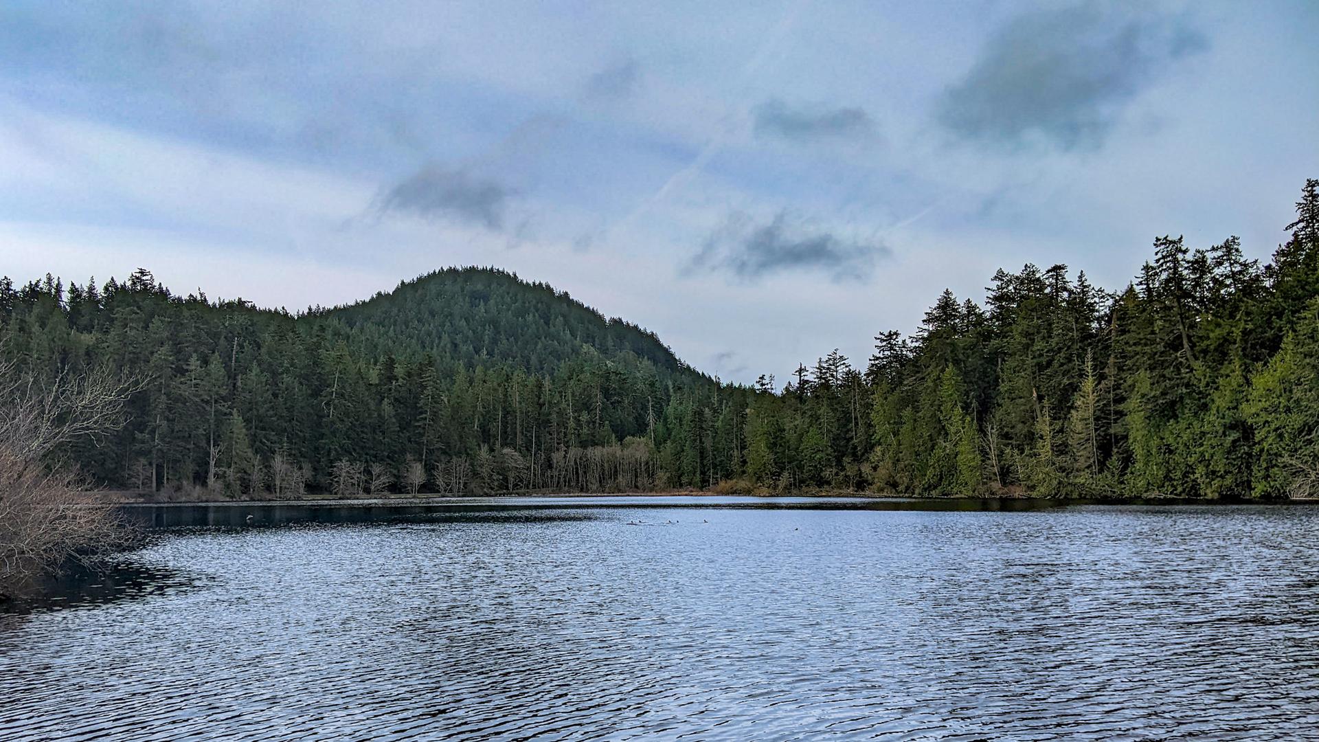 Calm lake surrounded by dense evergreen forest under an overcast sky.