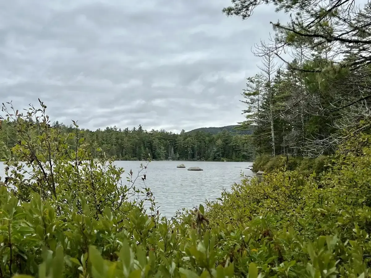 A serene lake surrounded by dense forest under a cloudy sky.