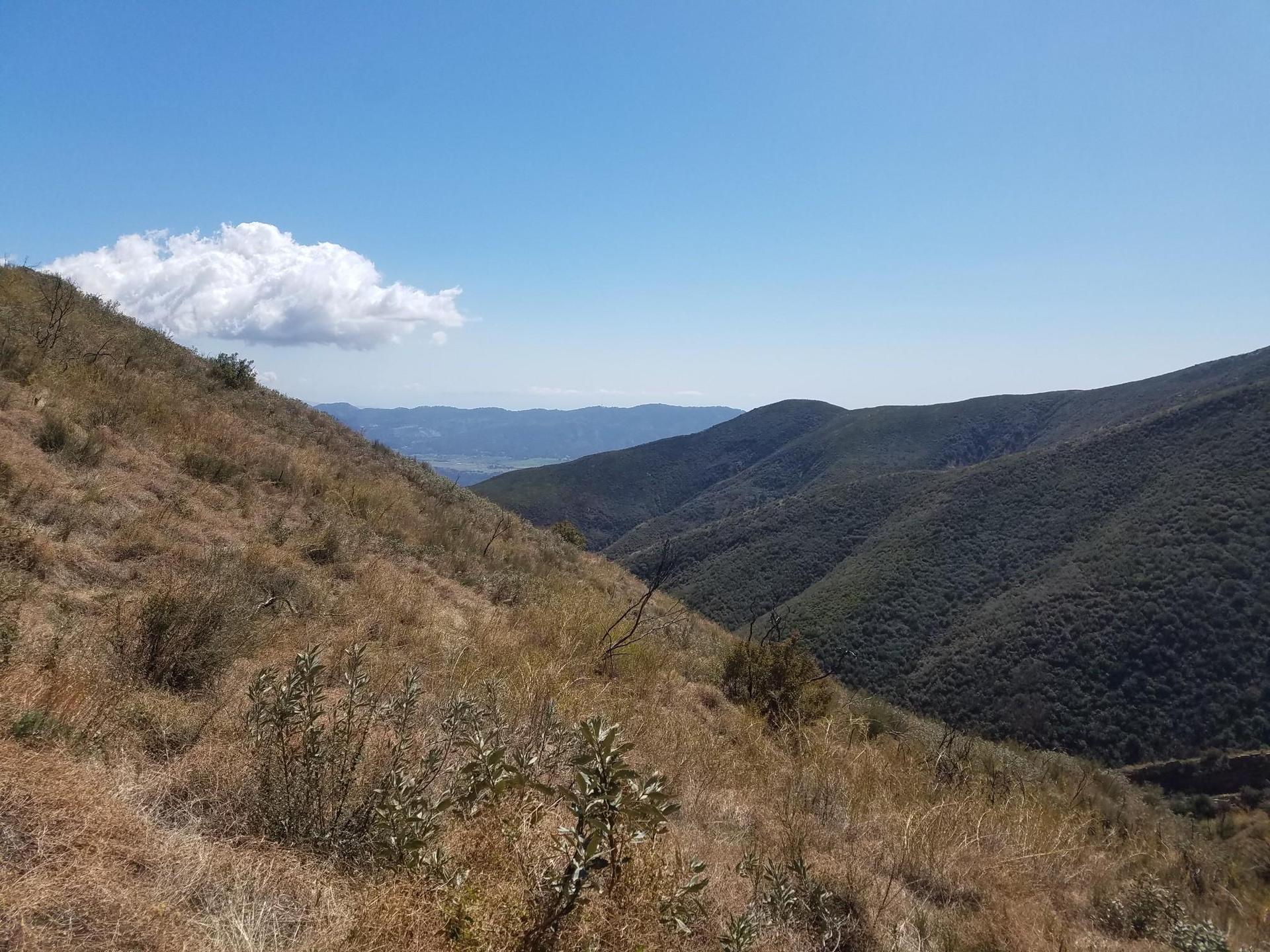 Sunny view of rolling hills and valleys with a single white cloud.