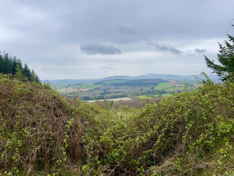 Gibbet Hill loop near Bunclody — County Wexford run Komoot
