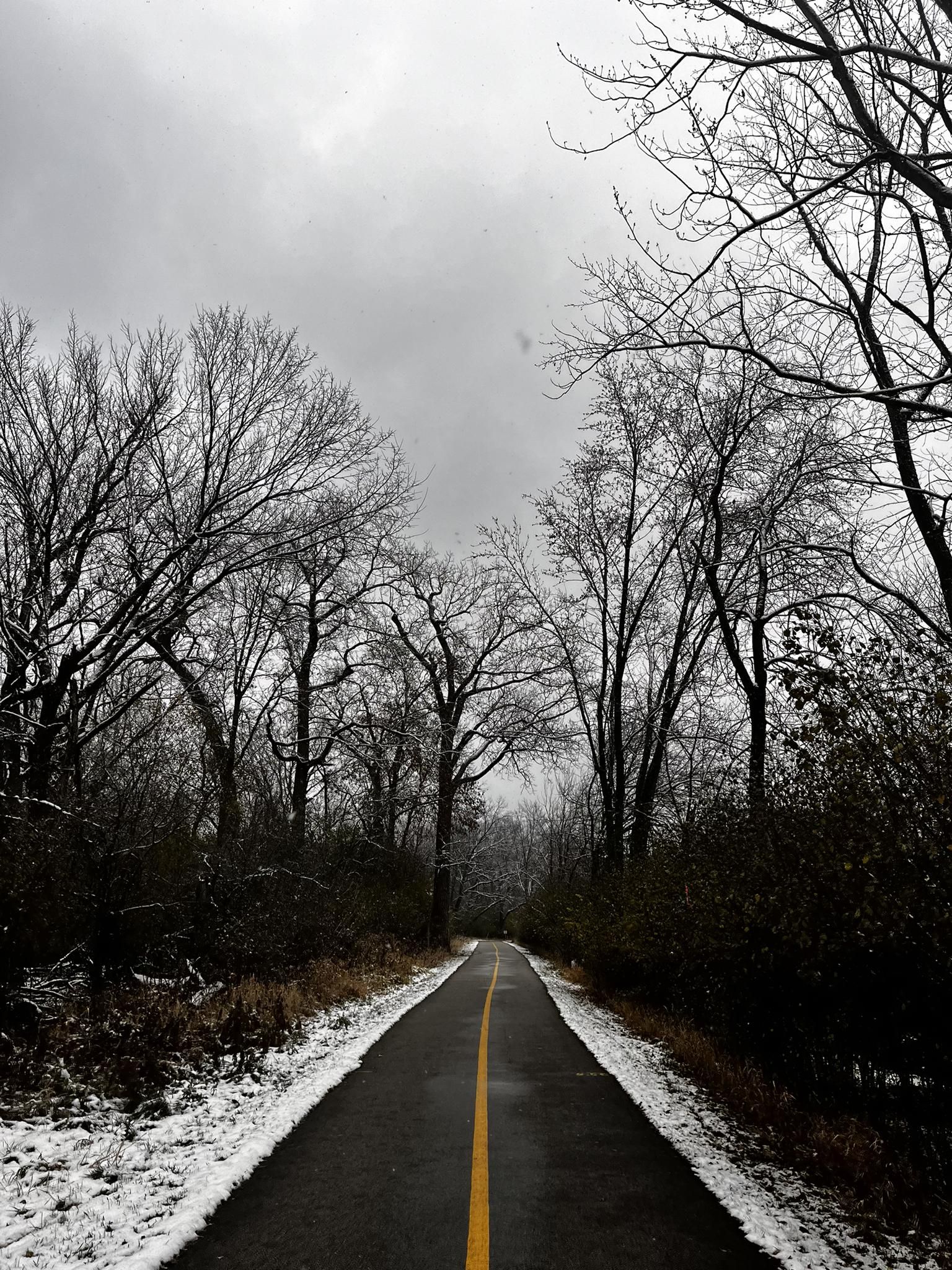 Paved path with snow and bare trees under a cloudy winter sky. - Salt Creek Greenway Trail