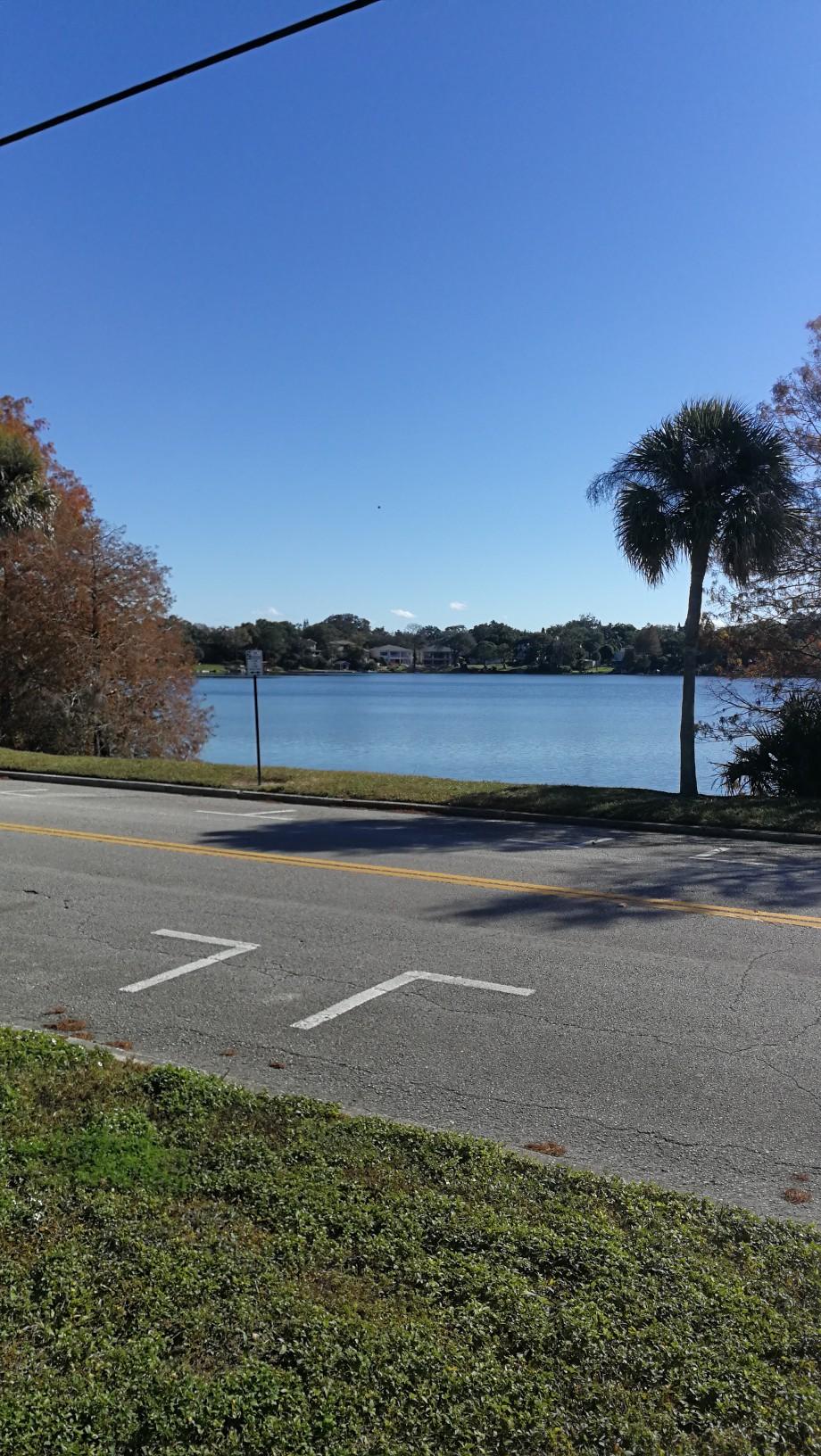 Bright day over a calm blue lake with a road and palm trees.