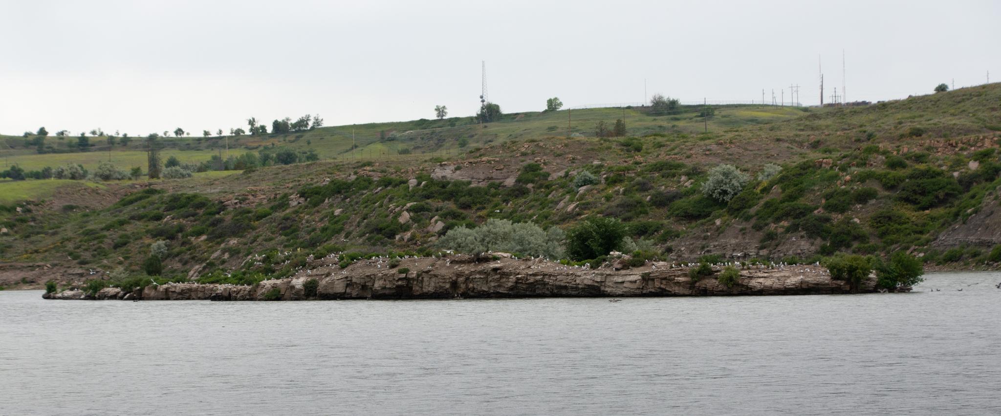 Rocky island in calm water with many birds, under an overcast sky.