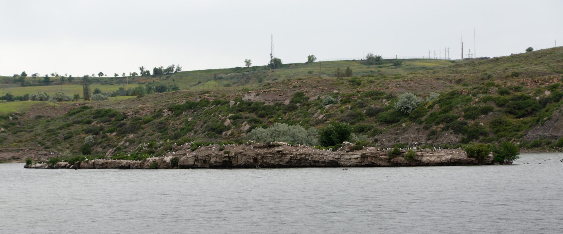 Rocky island in calm water with many birds, under an overcast sky.