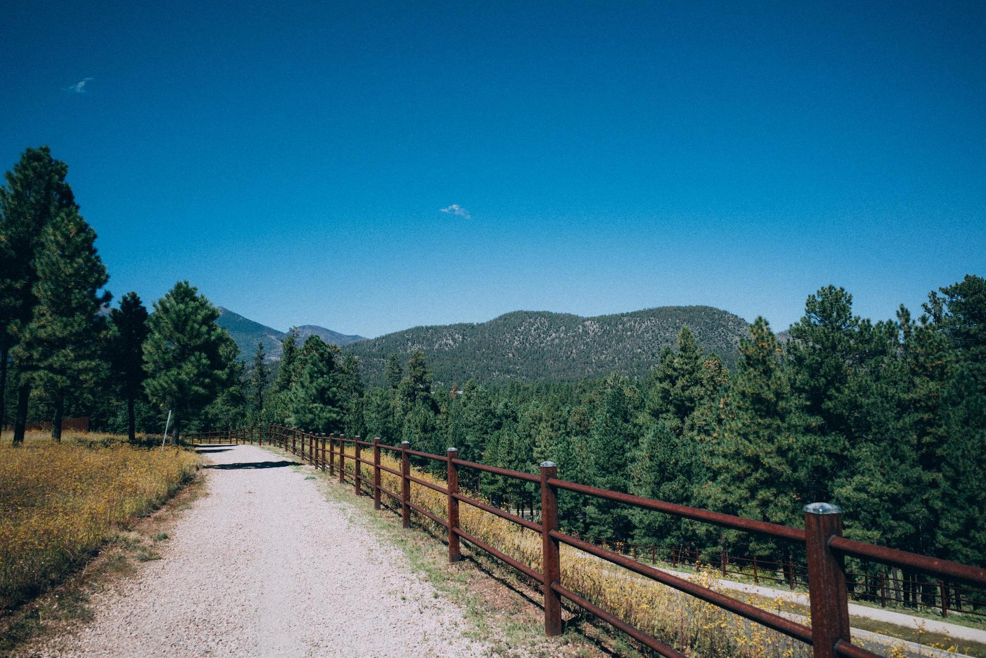 Sunny day, gravel path with a wooden fence, pine forest, and distant mountains.