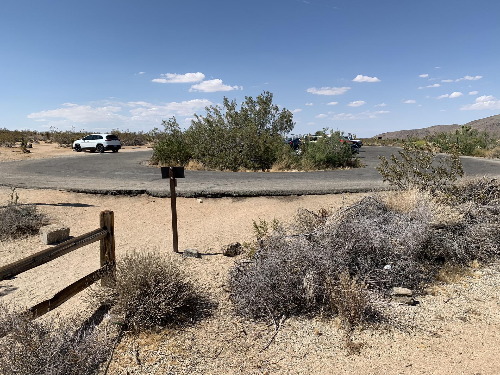A desert parking area with cars and sparse vegetation under a sunny sky.