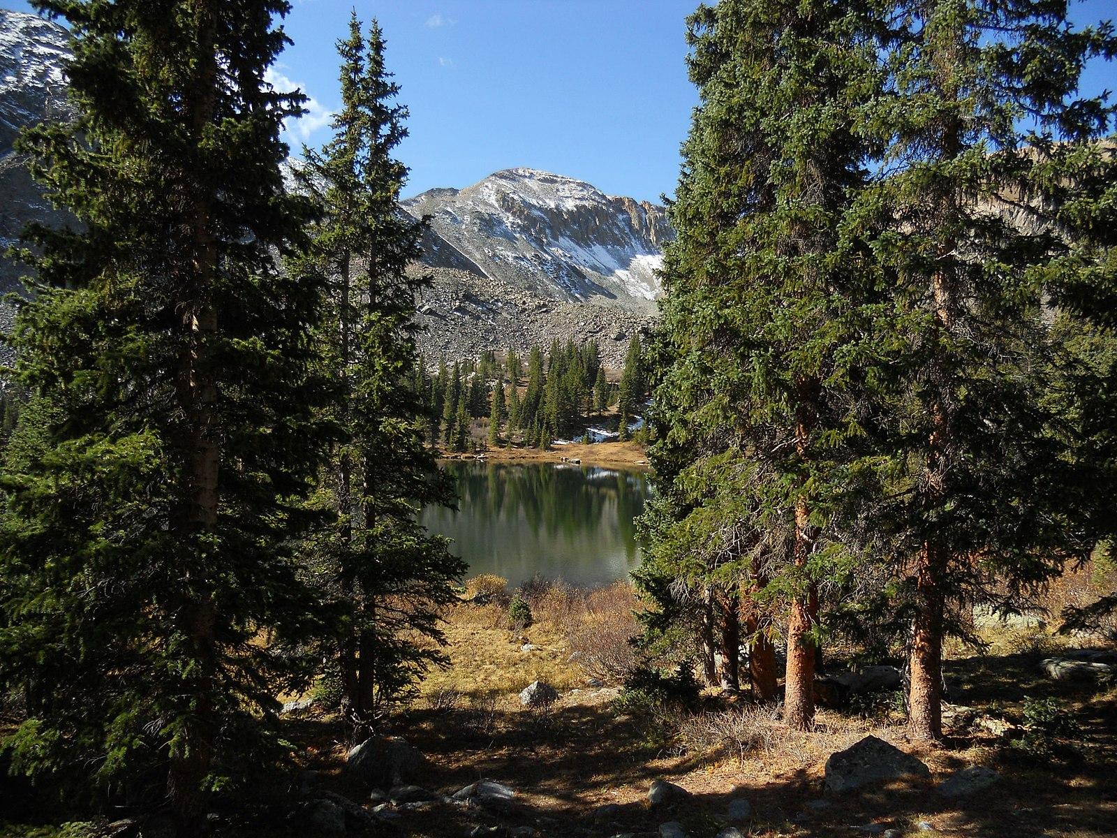 Pine trees frame a serene mountain lake with a snow-capped peak.