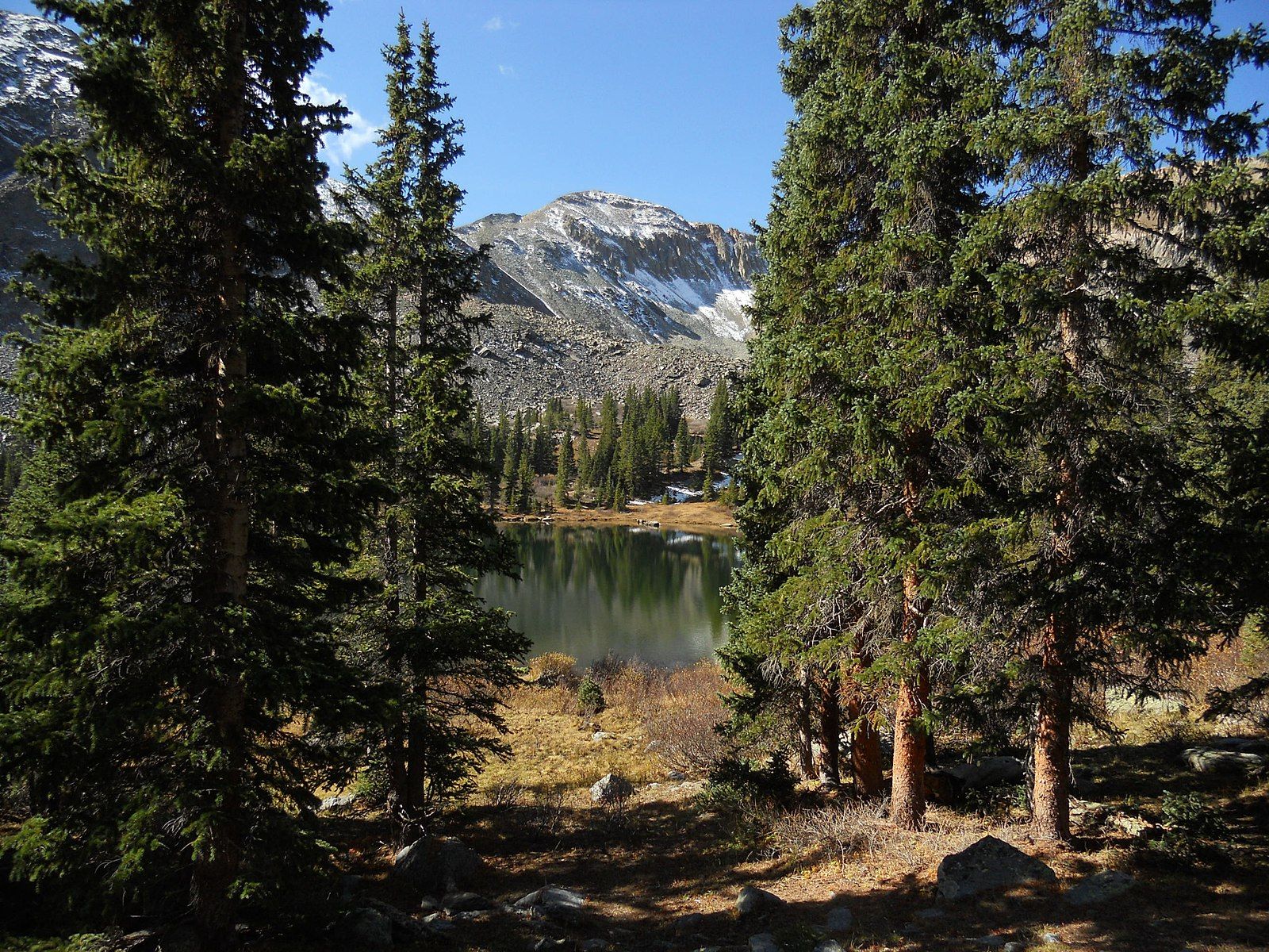 Pine trees frame a serene mountain lake with a snow-capped peak. - Lamphier Lake