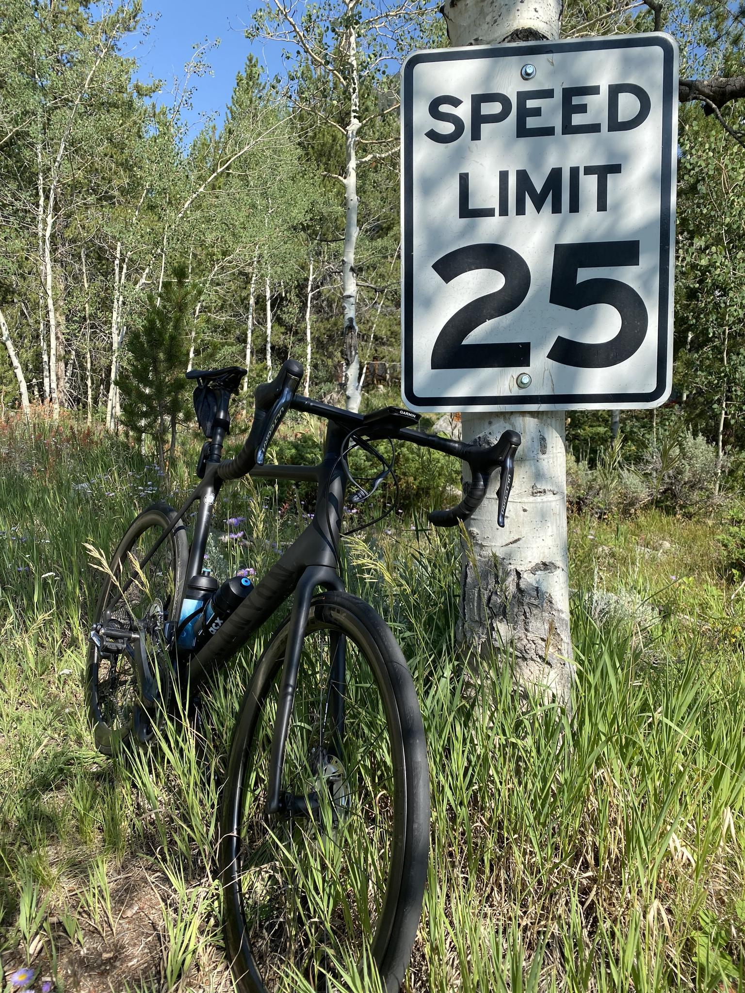 Black bicycle leaning against an aspen tree next to a speed limit sign.