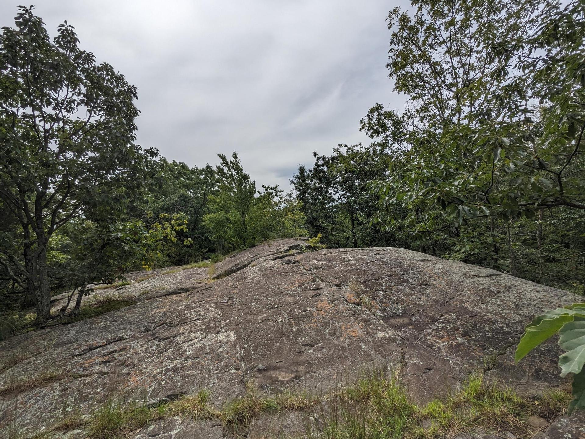 Large rock outcrop surrounded by green trees under an overcast sky.