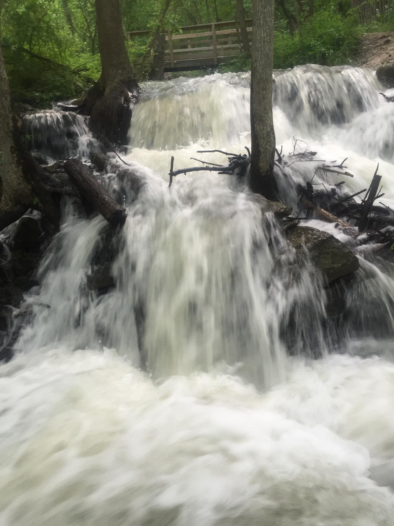 A powerful multi-tiered waterfall cascades over rocks and tree roots in a forest.