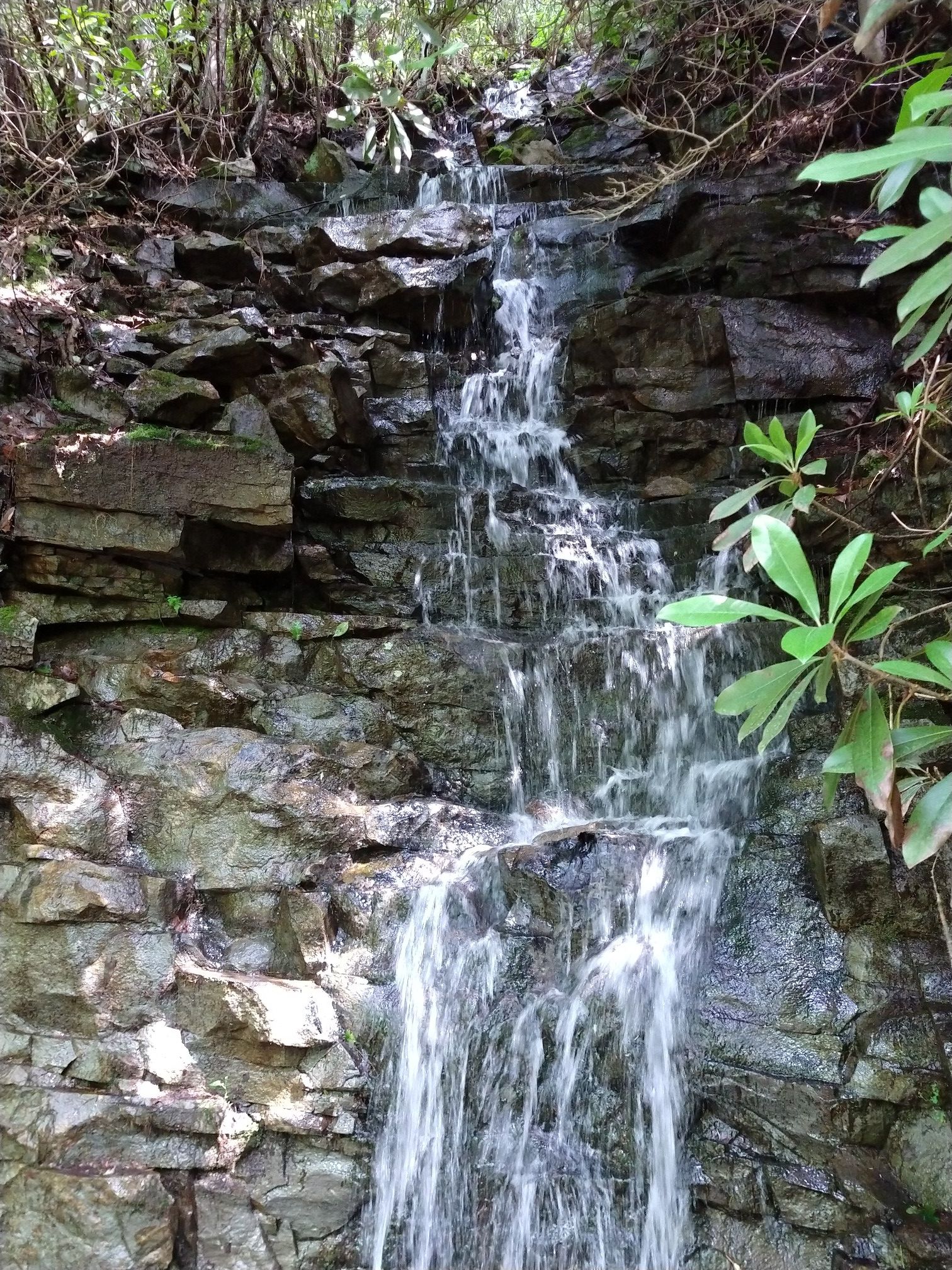 A small waterfall tumbles over a rocky wall with green foliage. - Lehigh Gorge Trail