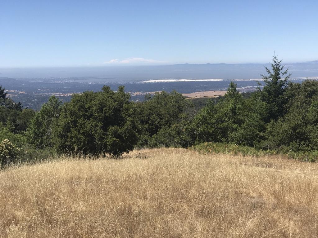 Sunny panoramic view over golden grass, green trees, and a distant hazy bay.