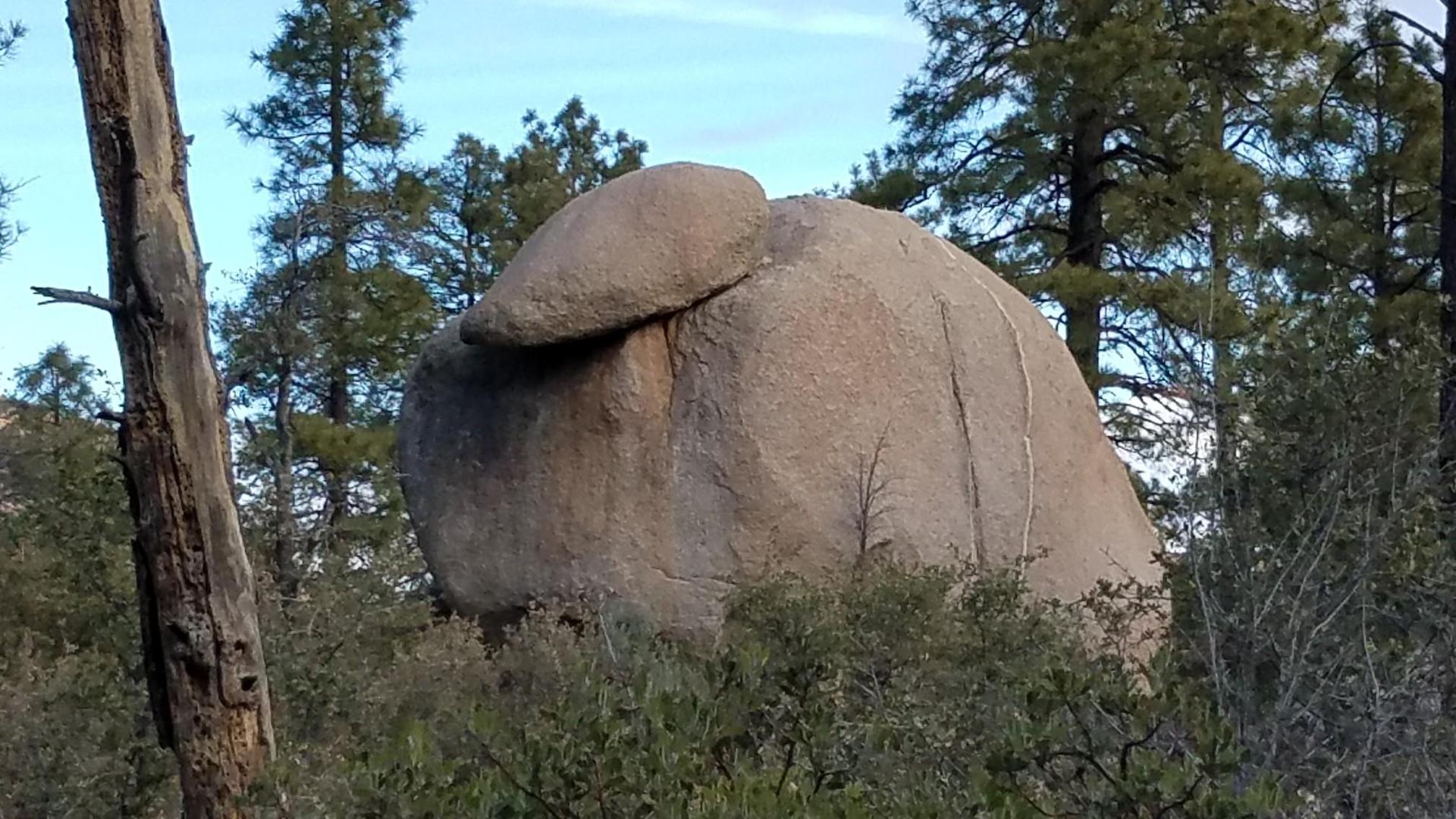 Large boulder with a smaller rock on top in a sunlit forest.