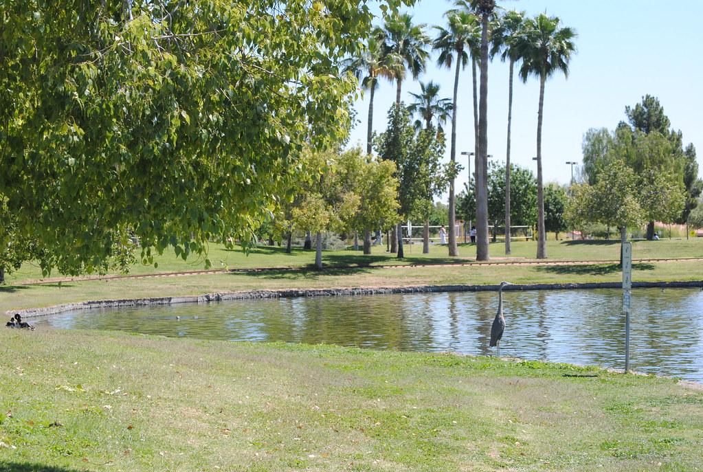 A heron stands in a pond surrounded by green grass and palm trees.