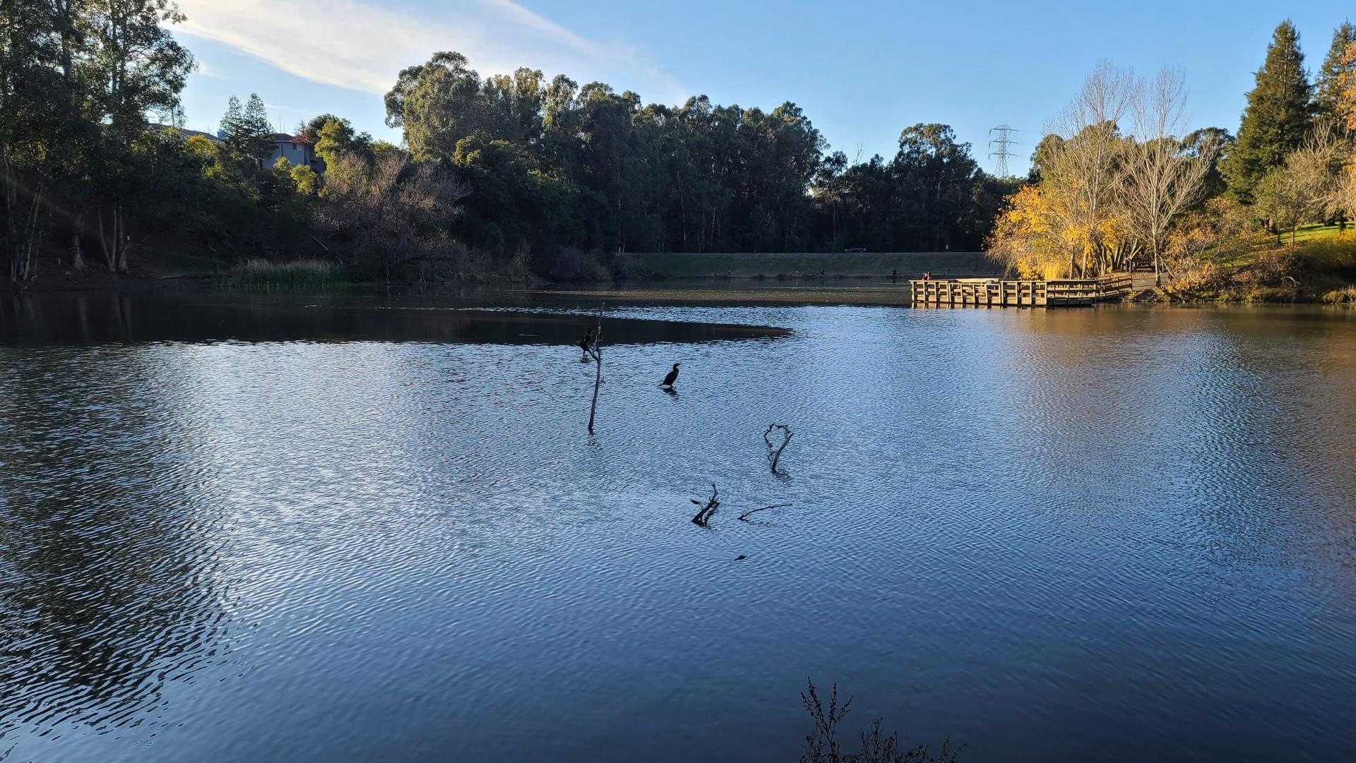 Calm lake with a wooden dock and trees under a bright sky.