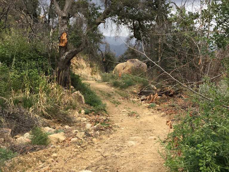 Murietta Canyon Trail & Matilija Divide Trail lus — Los Padres National ...