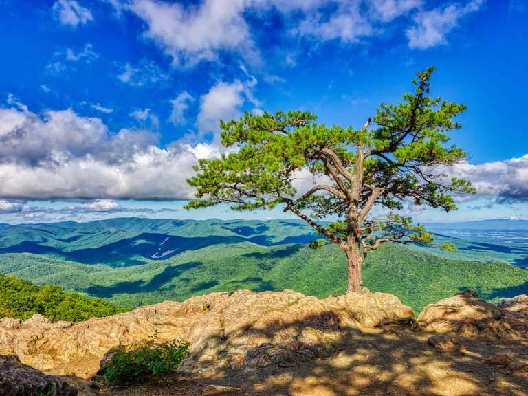 Afton Overlook to Ravens Roost Overlook — Blue Ridge Parkway | ride ...