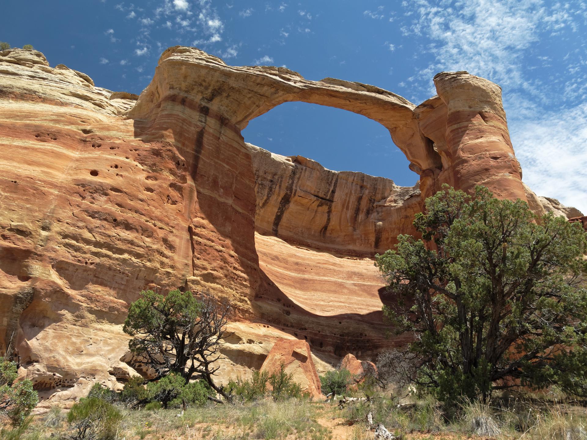 Majestic natural rock arch towering over green trees under a partly cloudy sky.