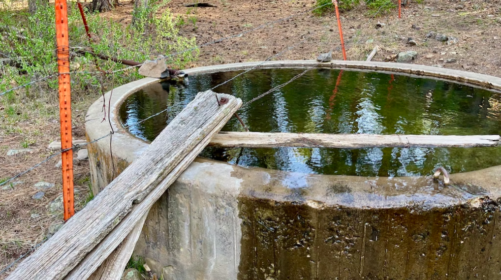 Concrete water trough with wooden planks and barbed wire in a forest.