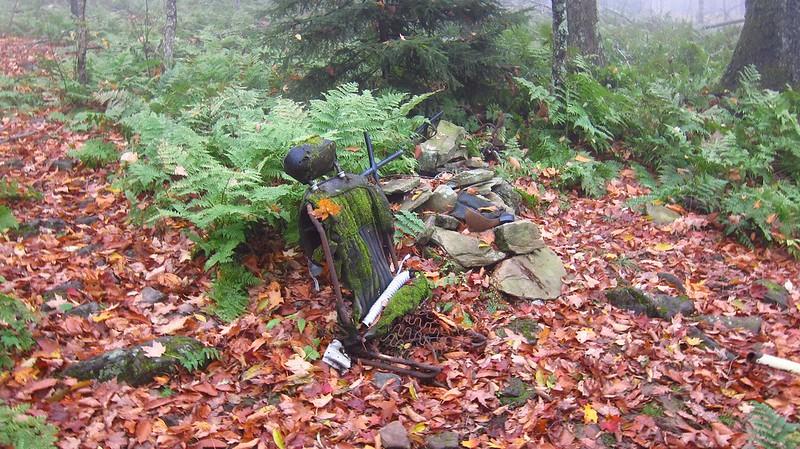 Debris and rocks on a forest floor covered in autumn leaves and ferns.