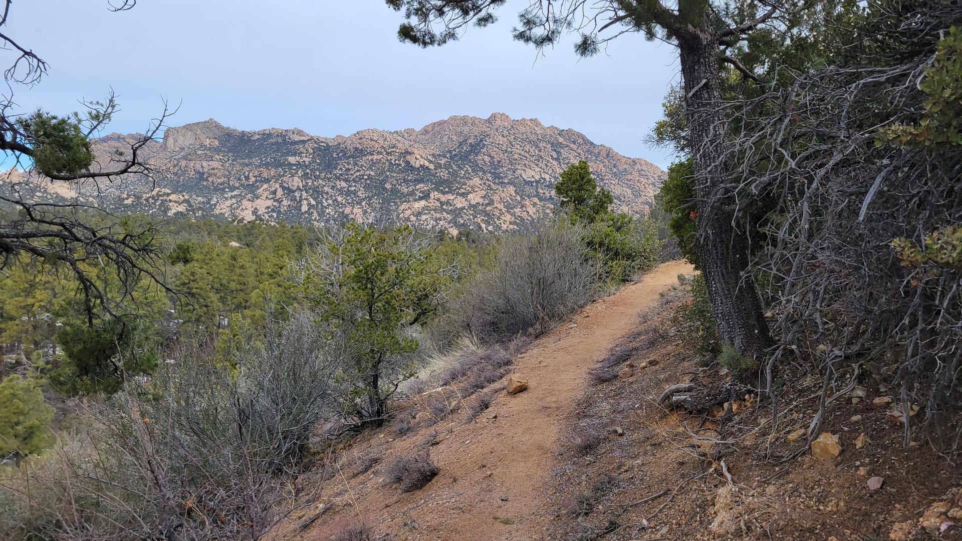 Dirt path winding through brush, leading towards rocky mountains under overcast sky.
