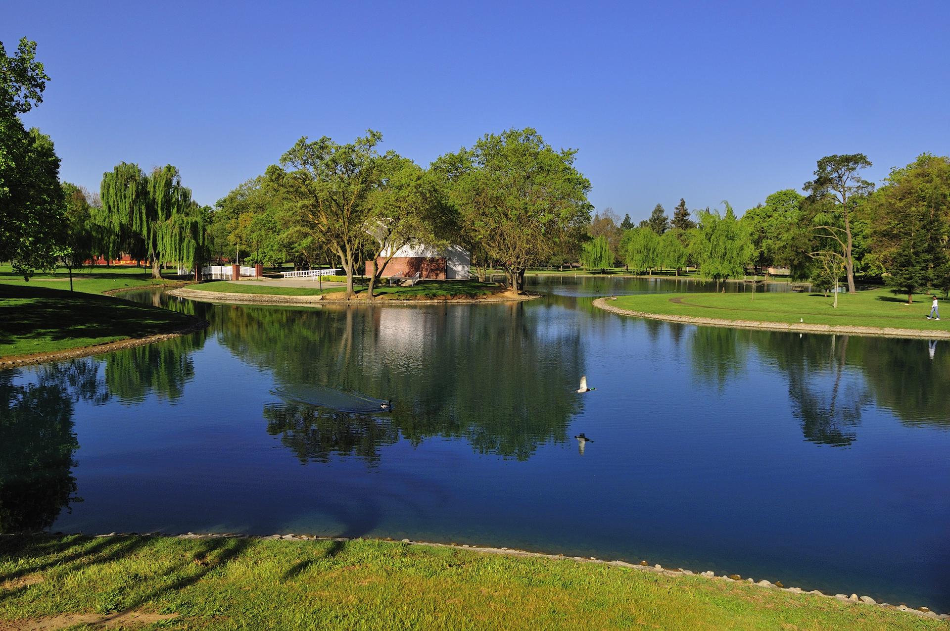 Bright sunny day over a calm pond reflecting green trees and distant person.