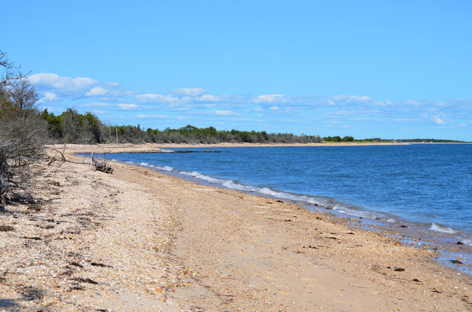 A sunny beach with blue water, a distant treeline, and a clear sky.