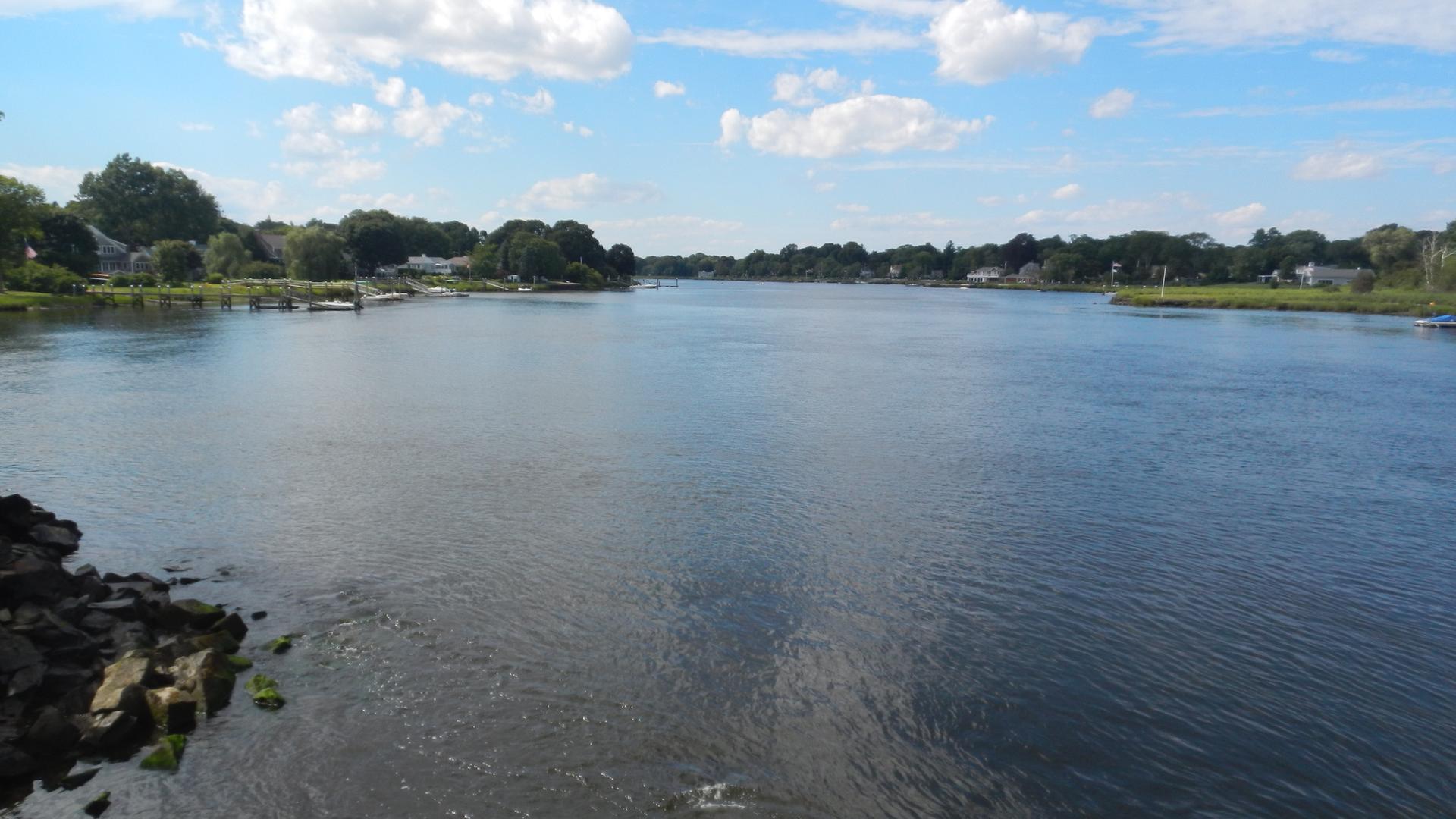 A wide river with calm water, surrounded by green trees and distant houses.