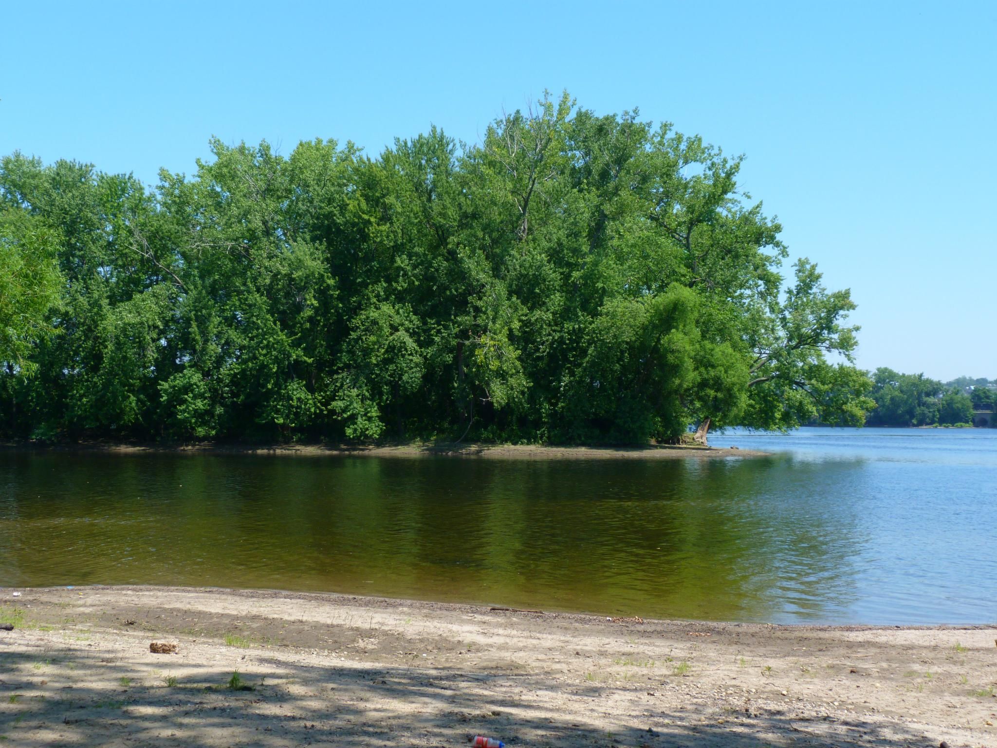 Sunny view of a calm lake with a sandy shore and dense green trees. - Connecticut River Walk and Bikeway