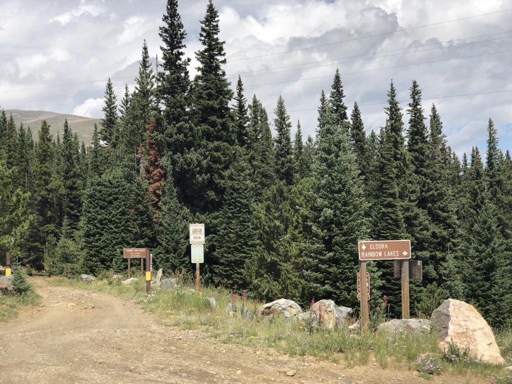 Dirt road entering a dense pine forest with multiple trail signs.