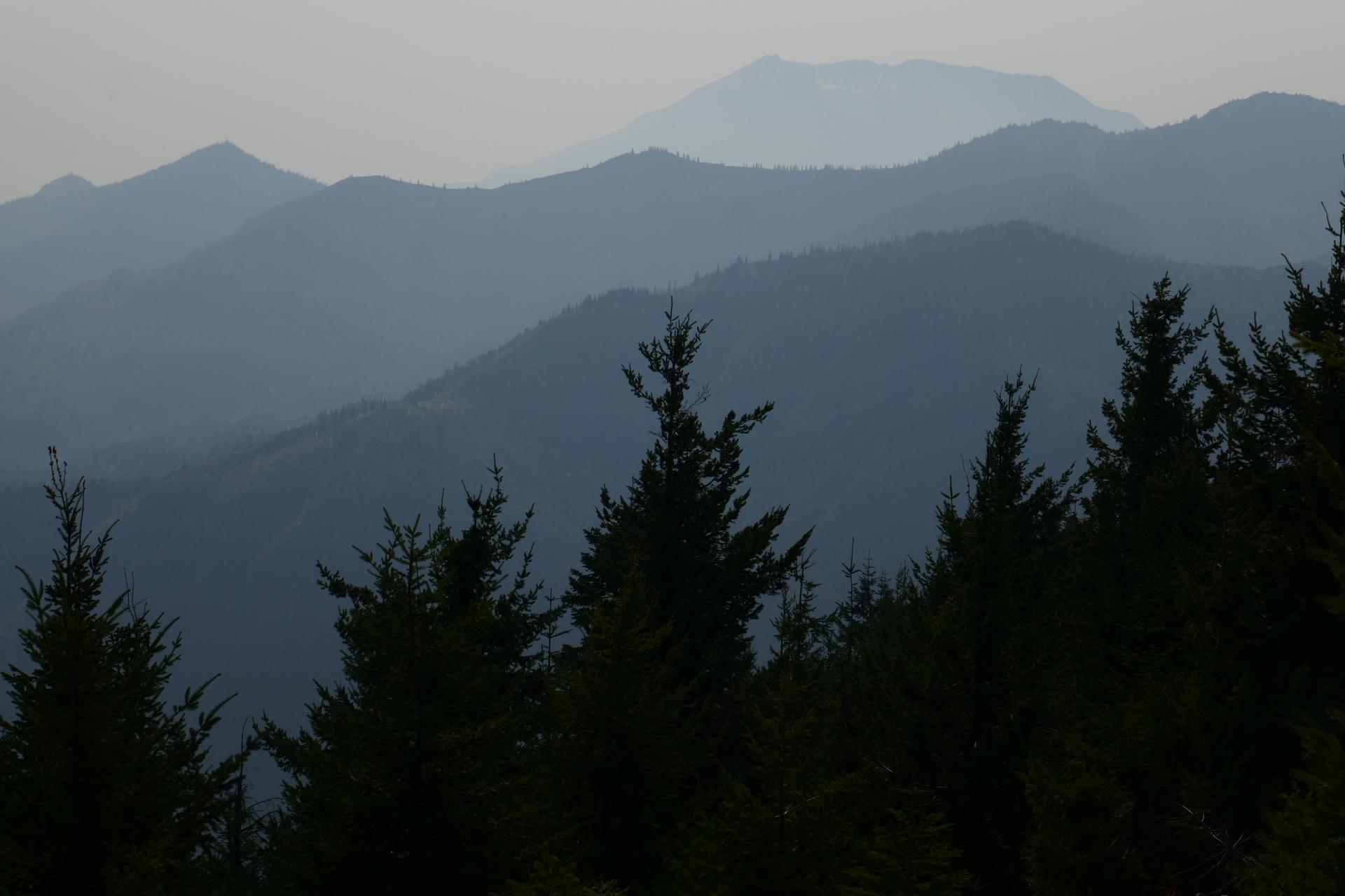 Layered mountains fading into mist behind dark evergreen trees.