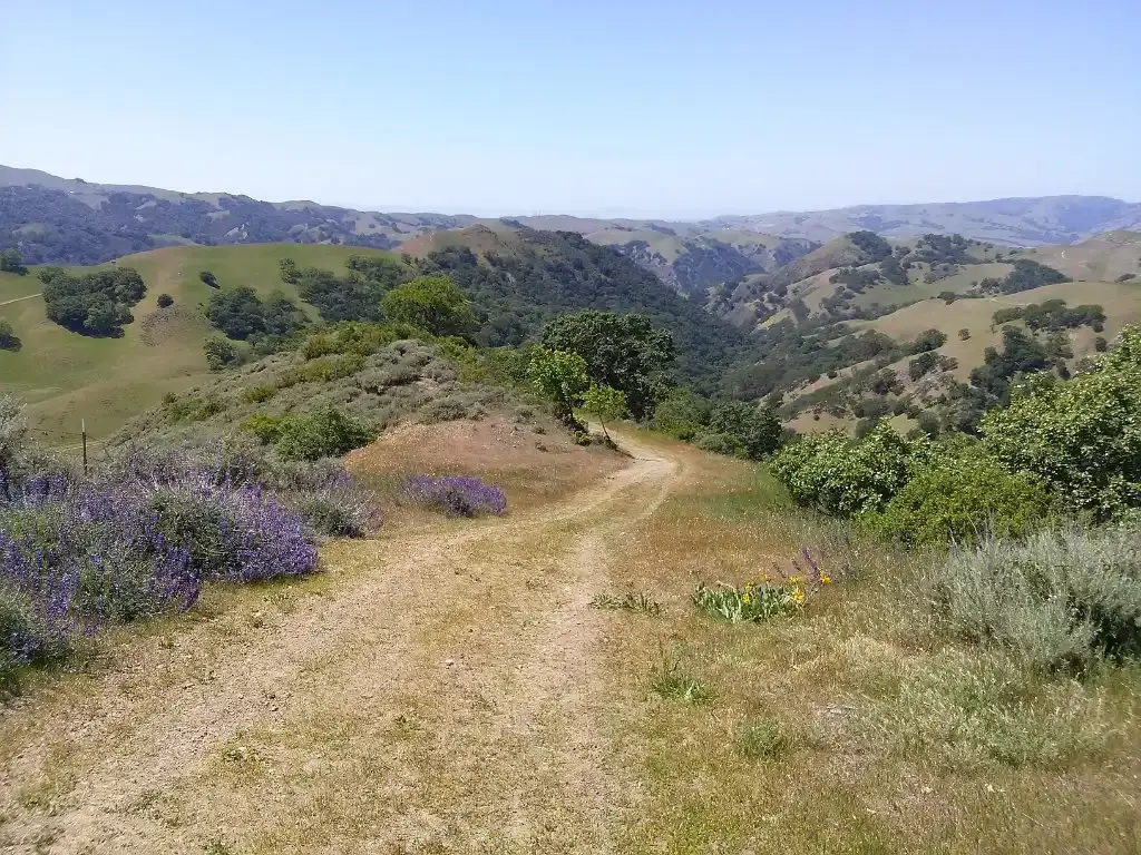 A dirt path winds through green and brown rolling hills under a clear sky.