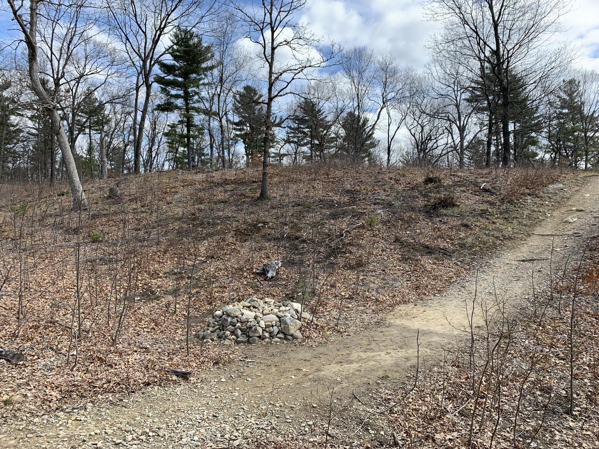 Dirt path forks on a dry, wooded hillside under a cloudy sky.