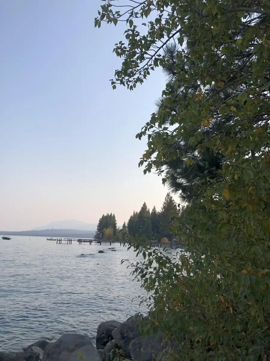 Calm lake with a distant pier, rocky shore, and lush green trees.