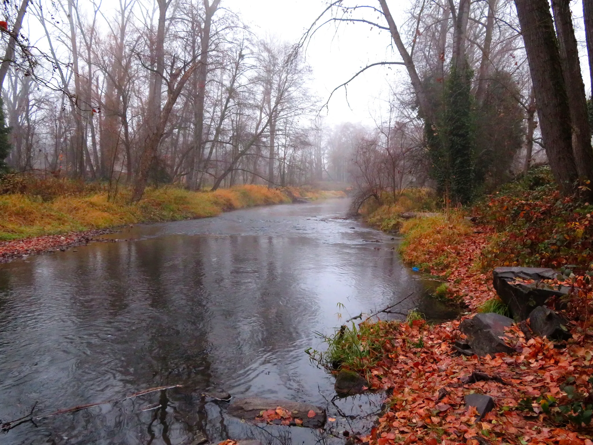 Misty river winding through a forest with vibrant autumn leaves and bare trees. - Bear Creek Greenway