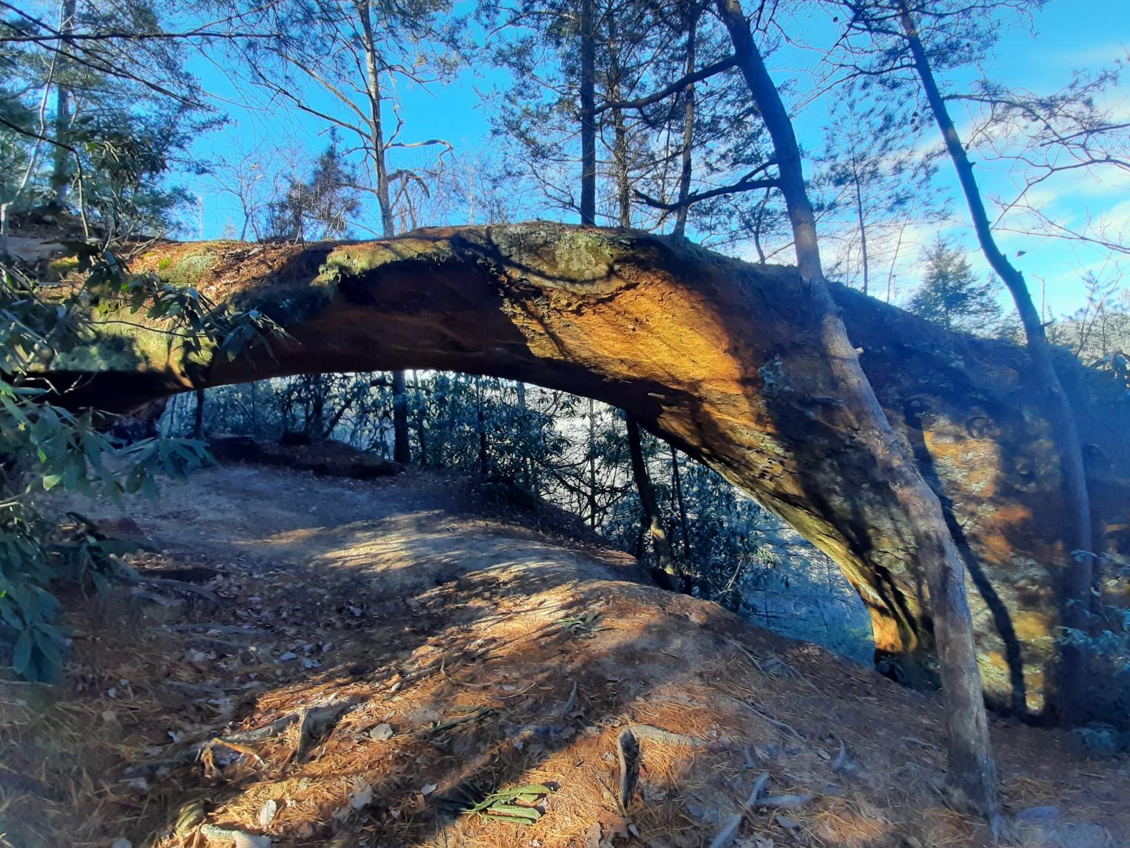 Sunlight illuminates a large natural rock arch in a wooded landscape.