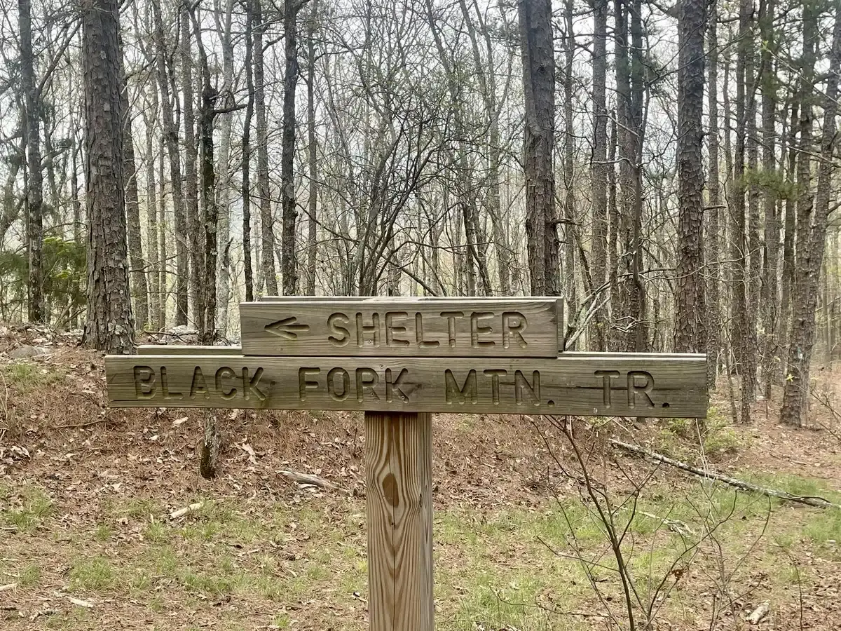 A wooden signpost in a forest points to 'SHELTER' and 'BLACK FORK MTN. TR.'.